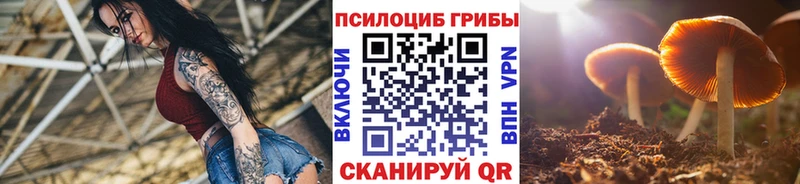 kraken как войти  Вихоревка  Галлюциногенные грибы MAGIC MUSHROOMS  наркота 